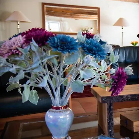 Mollehuset Hotel Hadsund