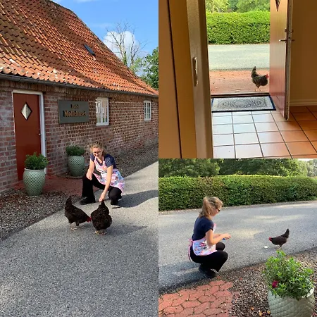 Mollehuset 2* Hadsund