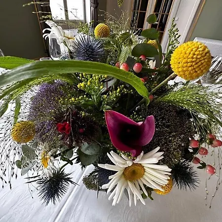 Szálloda Mollehuset 2*